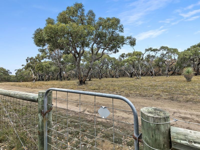 98 Harvey Street, Anglesea VIC 3230