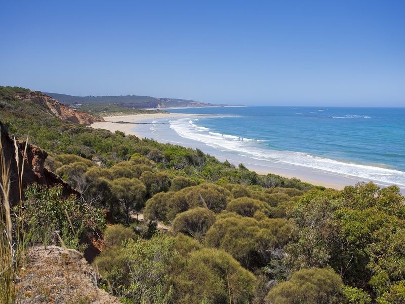 46-48 Eighth Avenue, Anglesea VIC 3230