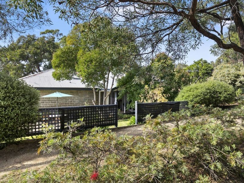 16 Charles Street, Anglesea VIC 3230