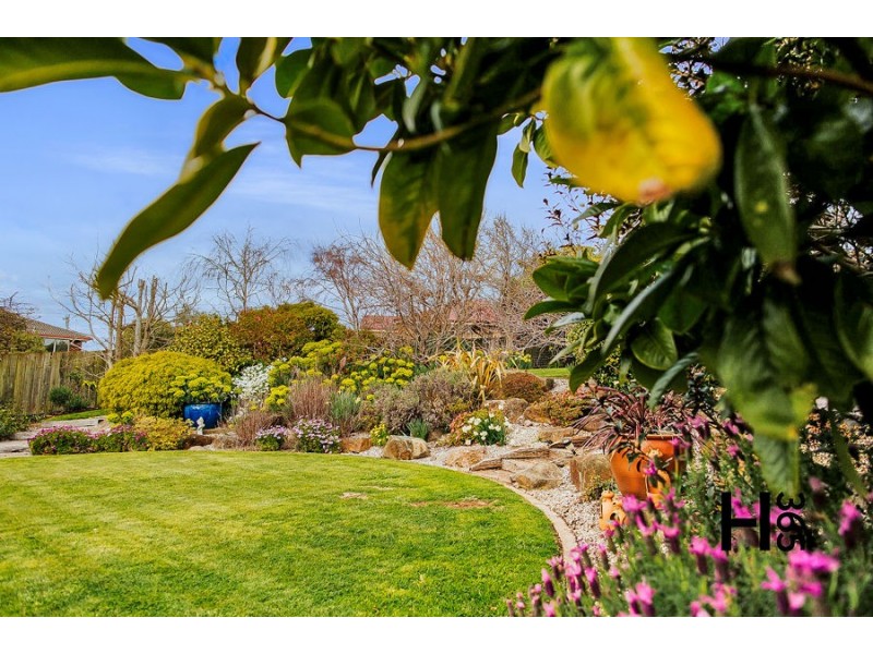 83 North Street, Devonport TAS 7310