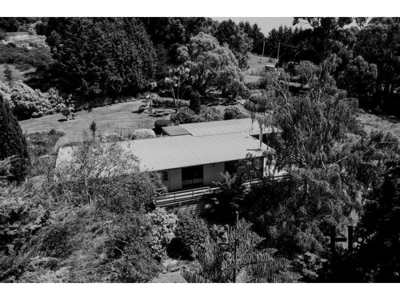 7 Fysh Street, Forth TAS 7310