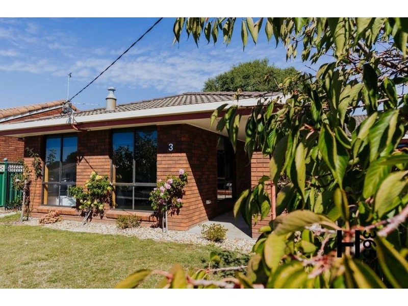 3 Berkeley Court, Miandetta TAS 7310