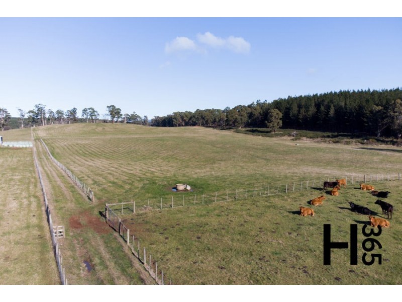 Sherwood Drive, Latrobe TAS 7307