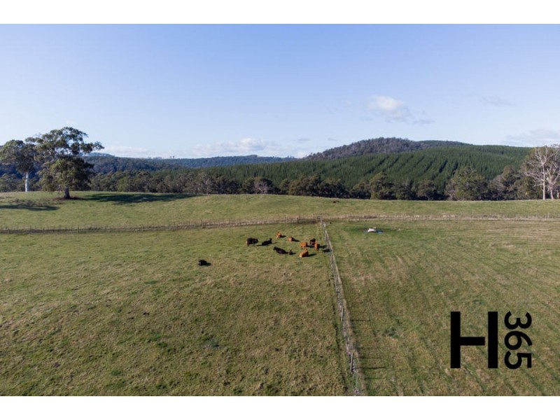 Sherwood Drive, Latrobe TAS 7307
