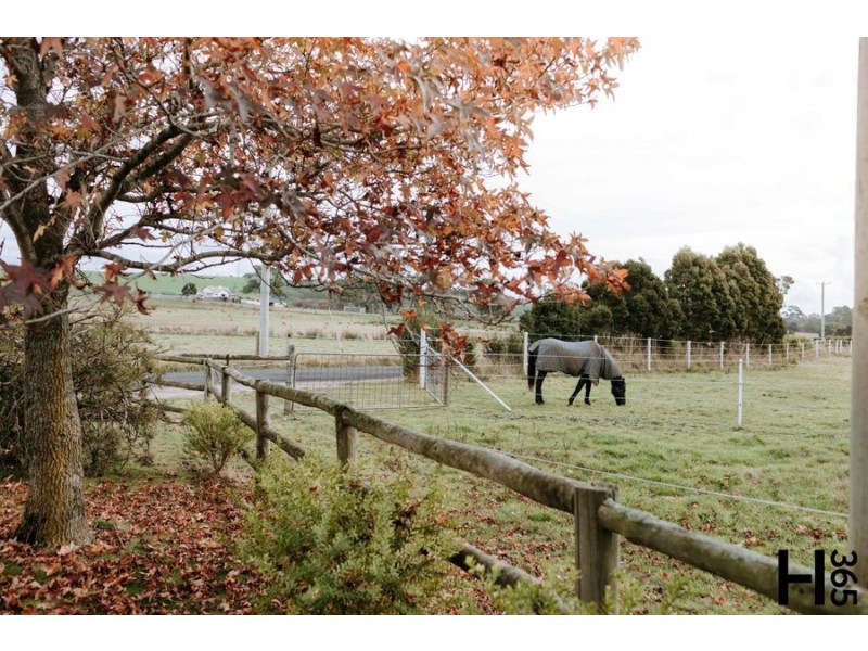 135 Winspears Road, East Devonport TAS 7310