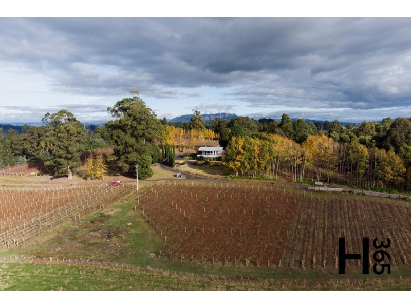 60 Gillams Road, Lower Barrington TAS 7306