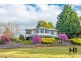 60 Gillams Road, Lower Barrington TAS 7306