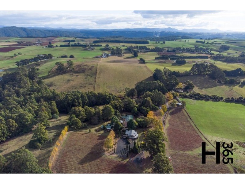 60 Gillams Road, Lower Barrington TAS 7306