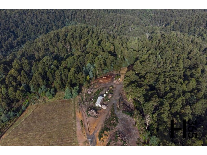 60 Gillams Road, Lower Barrington TAS 7306