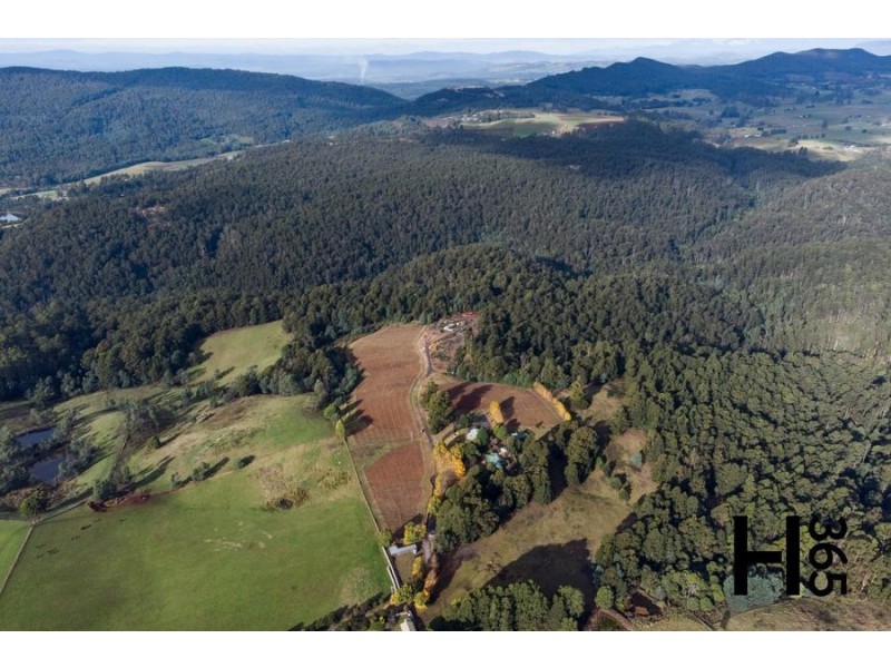 60 Gillams Road, Lower Barrington TAS 7306