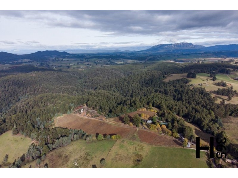 60 Gillams Road, Lower Barrington TAS 7306
