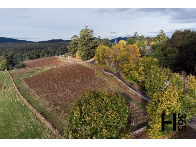 60 Gillams Road, Lower Barrington TAS 7306