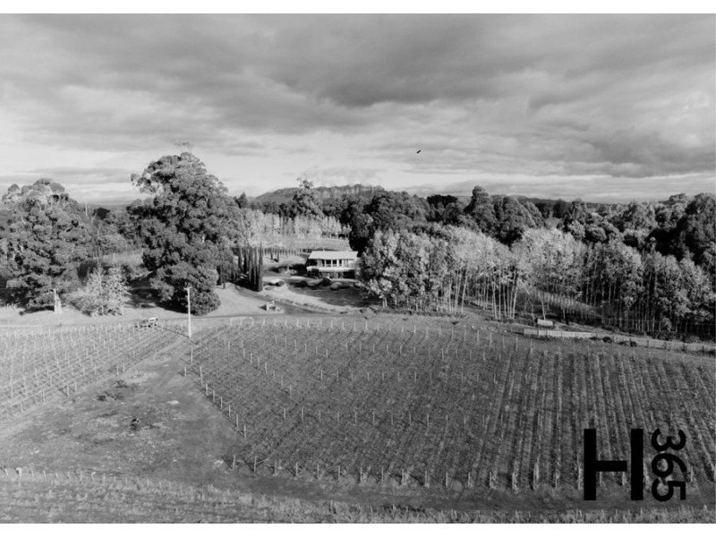 60 Gillams Road, Lower Barrington TAS 7306