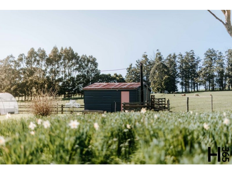 1104 Kindred Road, Kindred TAS 7310