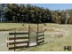 1104 Kindred Road, Kindred TAS 7310
