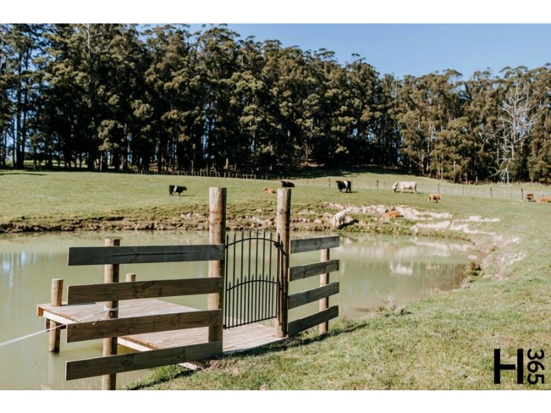 1104 Kindred Road, Kindred TAS 7310