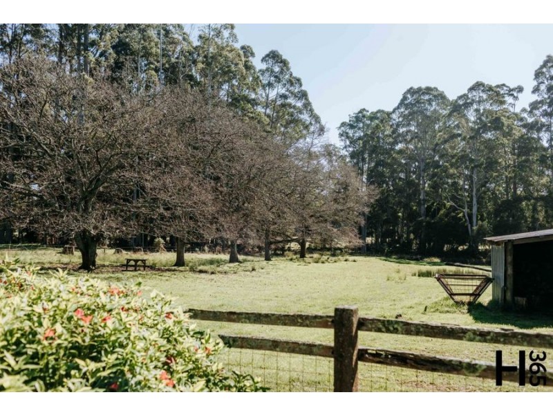 1104 Kindred Road, Kindred TAS 7310