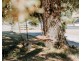 1 Grandview Drive, South Spreyton TAS 7310