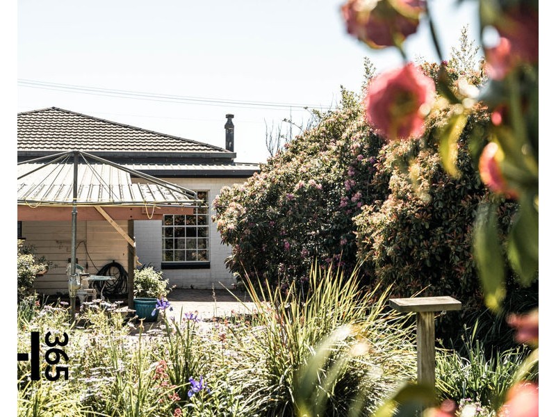 139 Steele Street, Devonport TAS 7310
