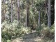 169 Wrenswood Drive, Quoiba TAS 7310