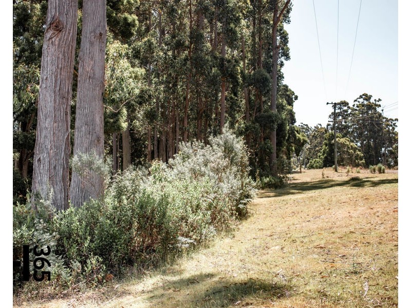 169 Wrenswood Drive, Quoiba TAS 7310