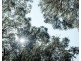 169 Wrenswood Drive, Quoiba TAS 7310