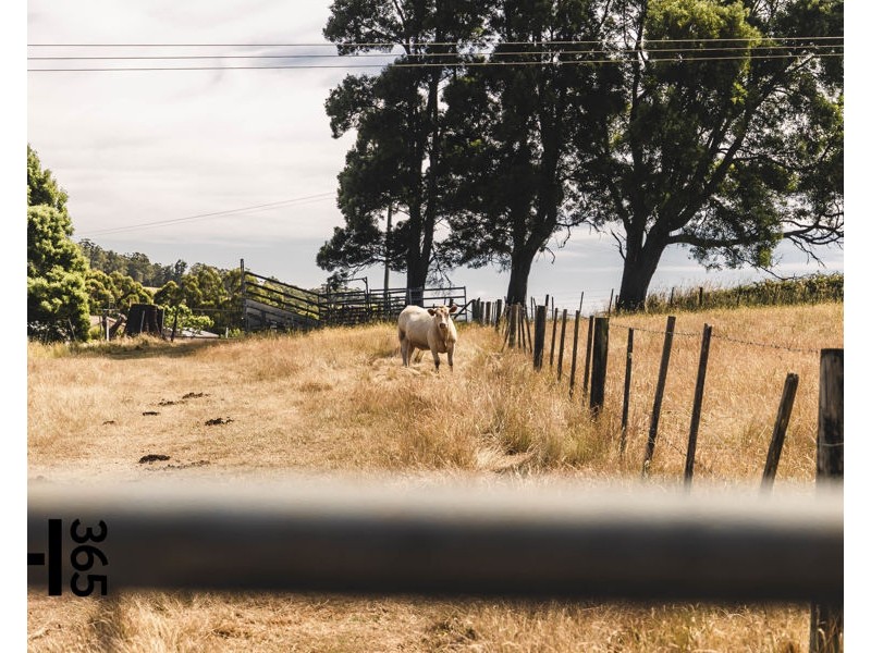 298 Stubbs Road, Forth TAS 7310