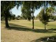 17 Gecko Terrace, Beeliar WA 6164