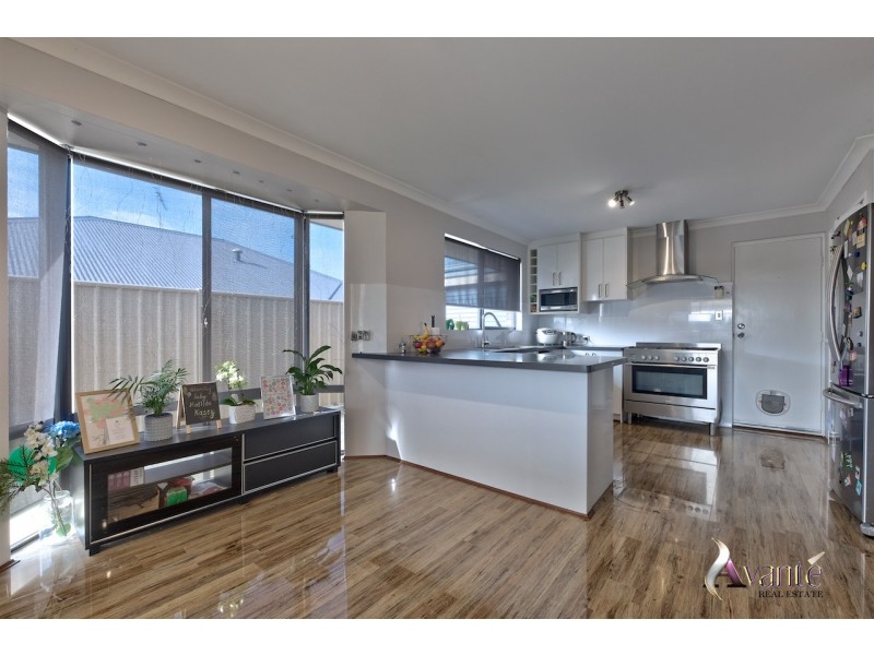 19 Ranunculus Court, Beeliar WA 6164