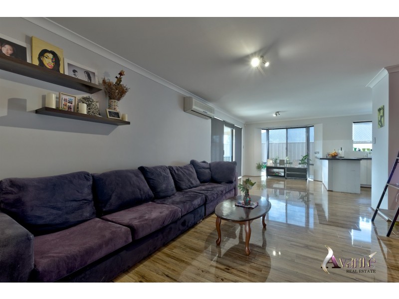 19 Ranunculus Court, Beeliar WA 6164