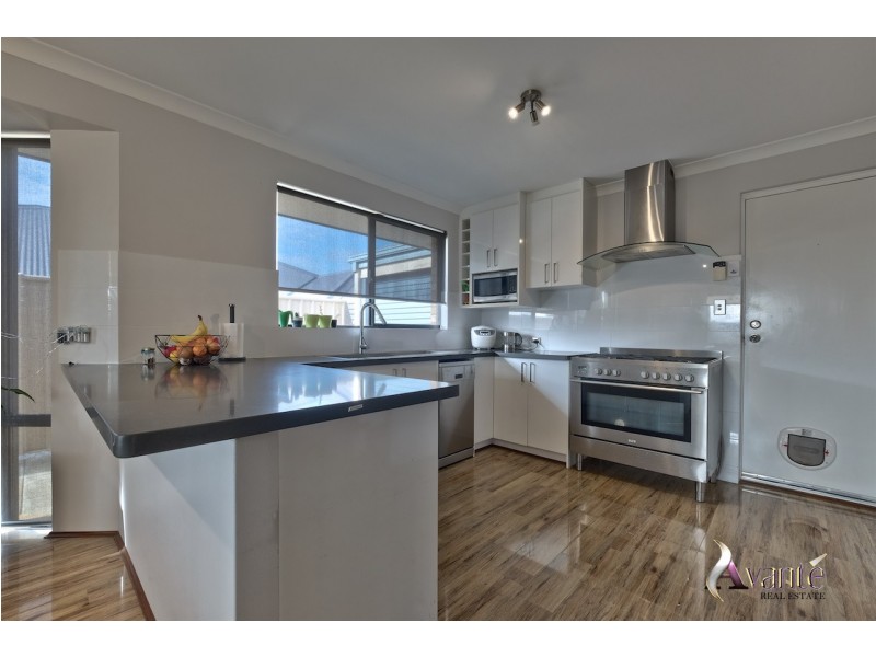 19 Ranunculus Court, Beeliar WA 6164