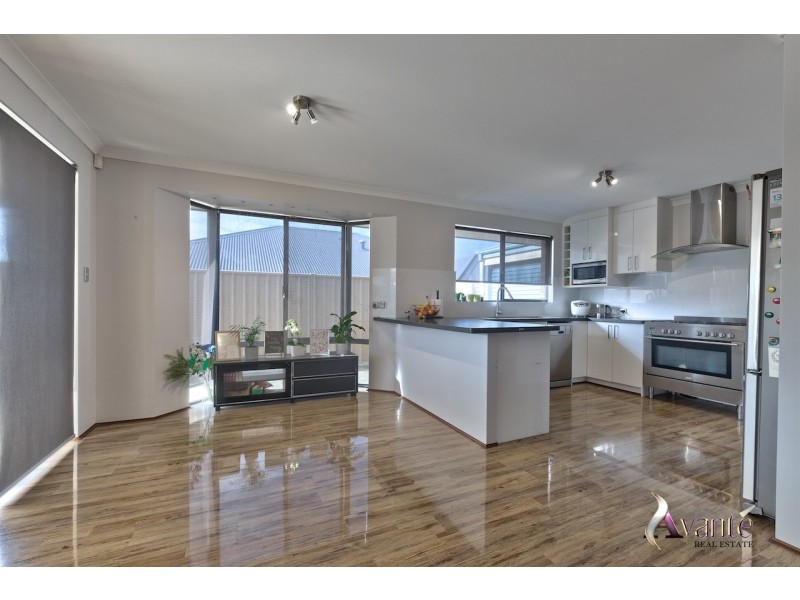 19 Ranunculus Court, Beeliar WA 6164