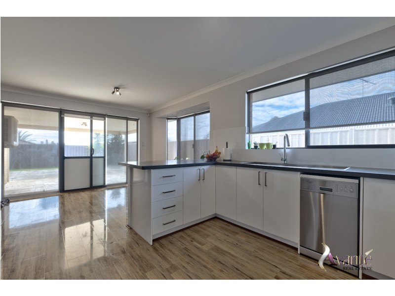 19 Ranunculus Court, Beeliar WA 6164