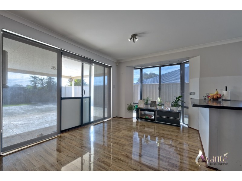 19 Ranunculus Court, Beeliar WA 6164