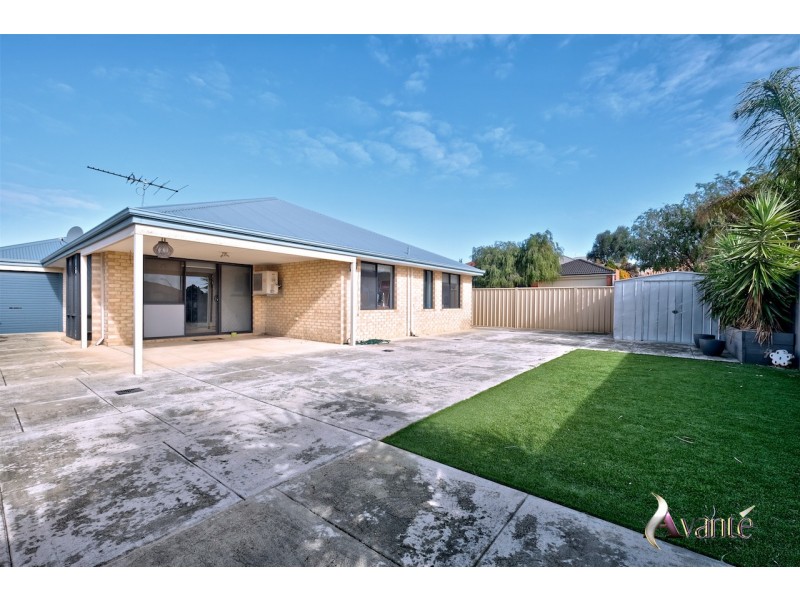 19 Ranunculus Court, Beeliar WA 6164