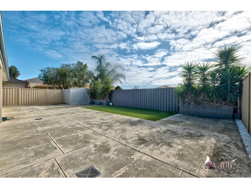 19 Ranunculus Court, Beeliar WA 6164