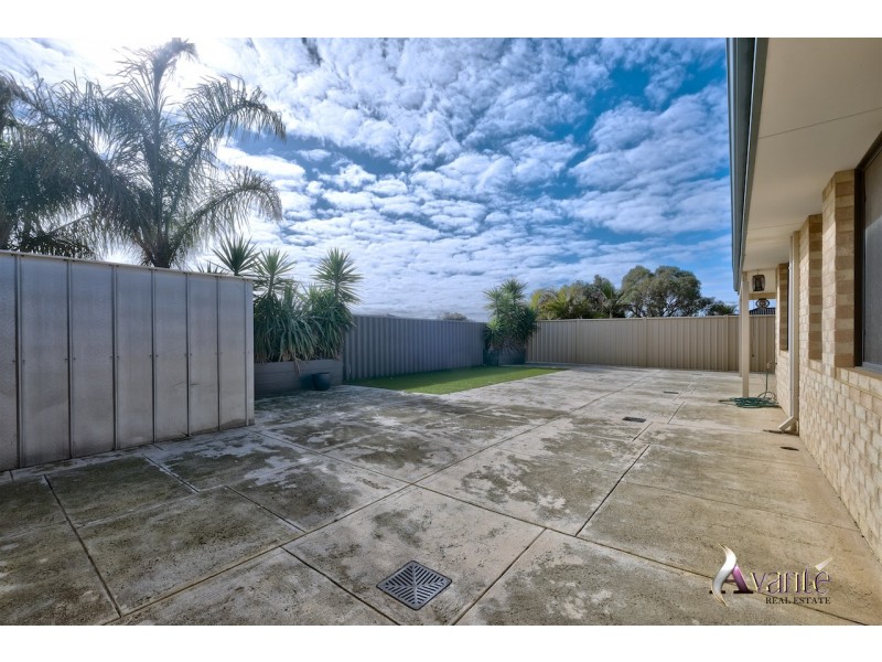 19 Ranunculus Court, Beeliar WA 6164