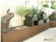 24 Minori Gardens, Yangebup WA 6164