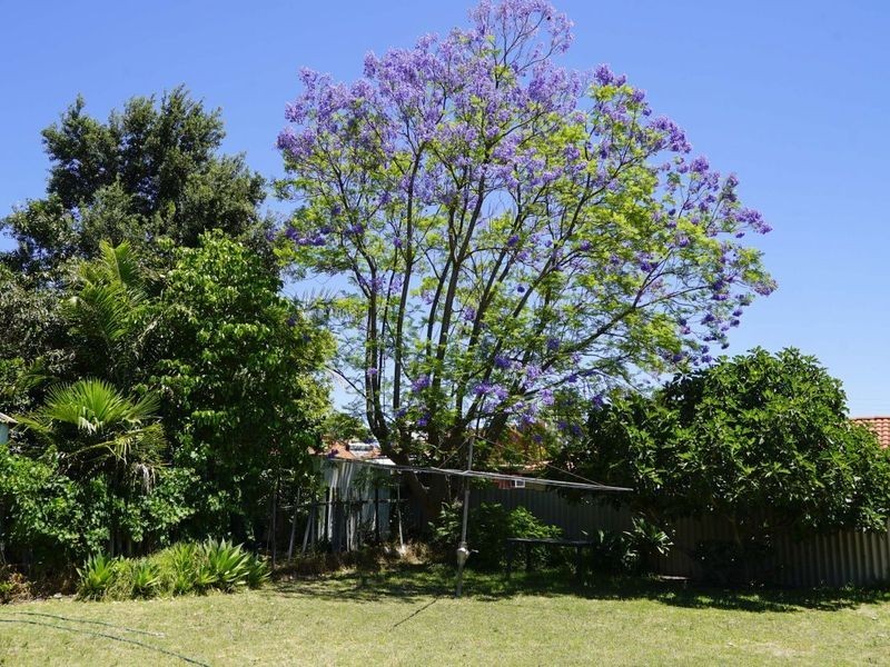 219 Nollamara Avenue, Nollamara WA 6061