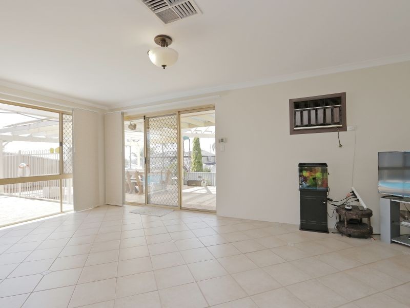 56 The Avenue, Alexander Heights WA 6064