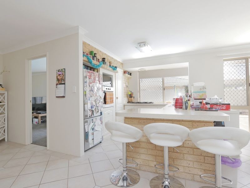 56 The Avenue, Alexander Heights WA 6064