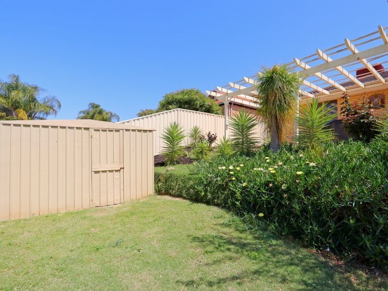 56 The Avenue, Alexander Heights WA 6064