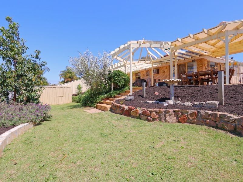 56 The Avenue, Alexander Heights WA 6064