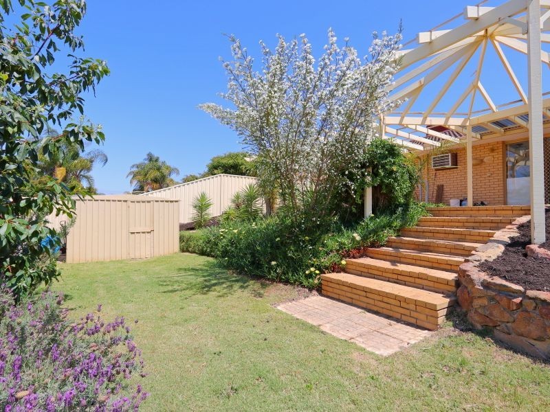 56 The Avenue, Alexander Heights WA 6064