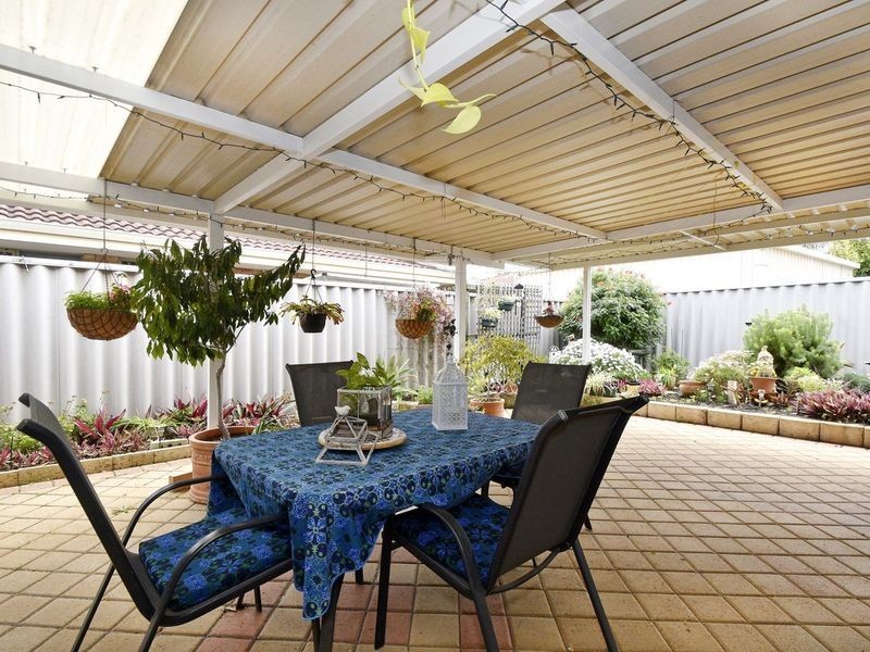 16 Pinetree Close, Alexander Heights WA 6064