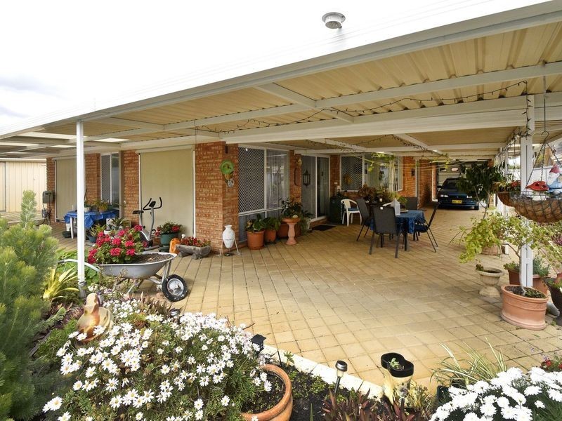 16 Pinetree Close, Alexander Heights WA 6064