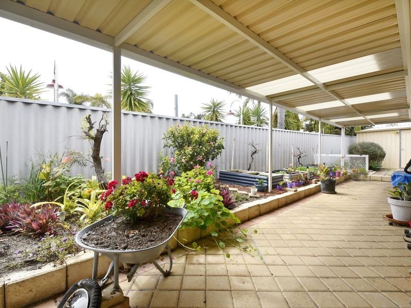 16 Pinetree Close, Alexander Heights WA 6064