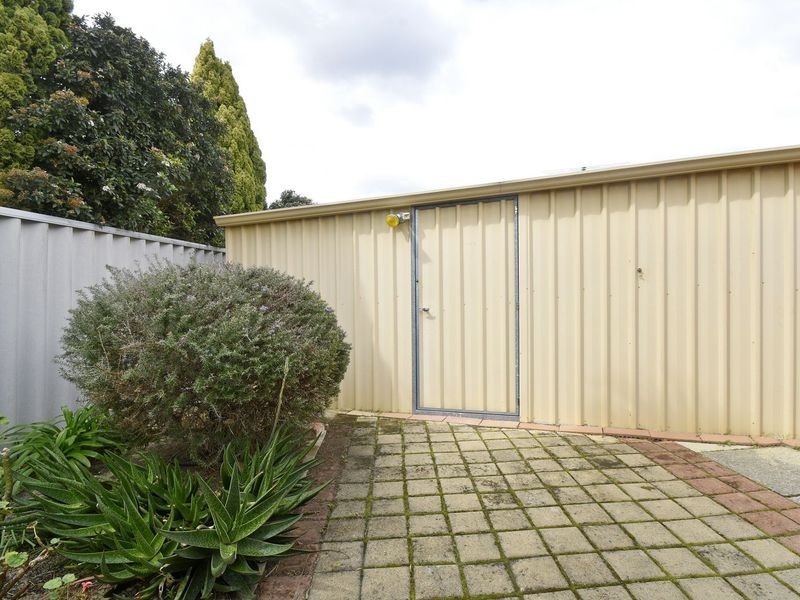 16 Pinetree Close, Alexander Heights WA 6064