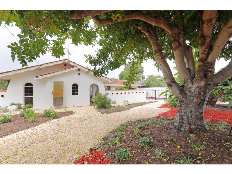 46 Collingwood Street, Dianella WA 6059