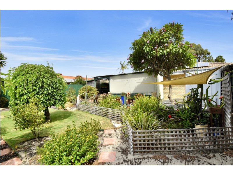 6 ROSEBANK GARDENS, Alexander Heights WA 6064